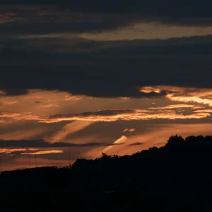IMG_2763.webp