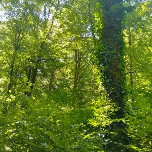 IMG_20250801_143706_HDR.webp