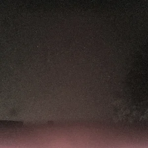 night001451bk.webp