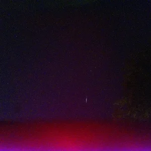 night001172bk.webp