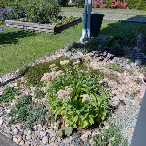 IMG_20250903_141400_HDR.webp