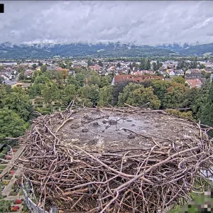 Frankies-Schlafplatz_Aug-u-Sept-2025_Kirchzarten-Feuerwehrturm.webp