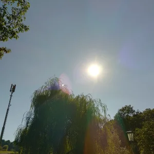 IMG_20250915_153830_HDR.webp