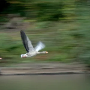 _IMGP5567k.webp