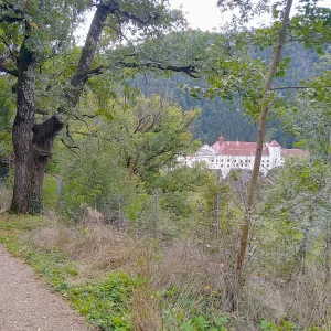 IMG_20251004_134207_HDR~2.webp