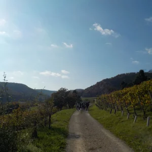 DSCN6902.webp