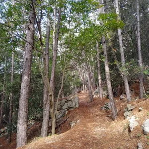 IMG_20241009_111441_HDR.webp