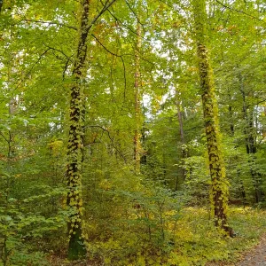 IMG_20251016_133805_HDR.webp