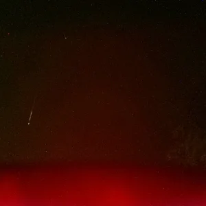 night003172b.webp