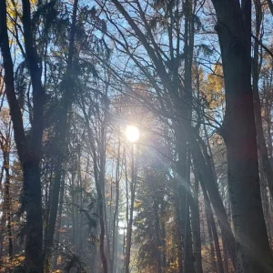 Medium '1000052885.webp' in der Kategorie 'Forum Natur & Spiritualität'