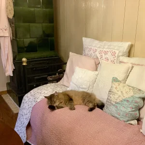 Medium 'IMG_4420.webp' in der Kategorie 'Forum Kreativität & Spiritualität'