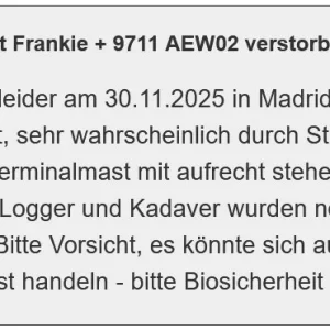 Frankie_30Nov2025_tödlich-verunglückt_Profileintrag_AT.webp