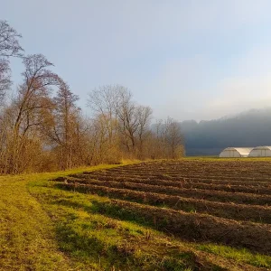 Medium 'IMG_20251218_143232_HDR.webp' in der Kategorie 'Forum Natur & Spiritualität'