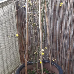 Screenshot 2025-12-22 170758.webp