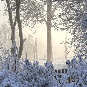 Medium 'FullSizeRender.webp' in der Kategorie 'Forum Kreativität & Spiritualität'