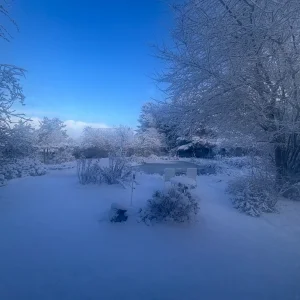 Medium 'IMG_4056.webp' in der Kategorie 'Forum Kreativität & Spiritualität'