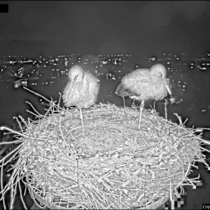 Kirchzarten_2026-01-13 18Uhr41-37- Ulla-und-Edgar.übernachten.webp