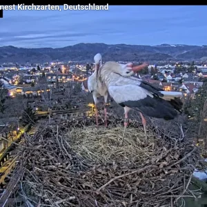 Kirchzarten_2026-01-13 17Uhr31-20- Ulla-und-Edgar-im-Nest.webp