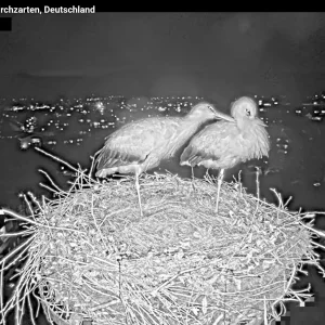 Kirchzarten_2026-01-13 18Uhr26-40- Ulla-und-Edgar.übernachten.webp