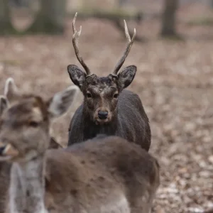 Medium 'IMG_4665.webp' in der Kategorie 'Forum Natur & Spiritualität'