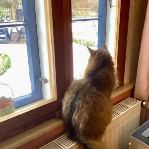 Medium 'IMG_4516.webp' in der Kategorie 'Forum Kreativität & Spiritualität'