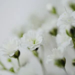 Medium '20260216-134313160.webp' in der Kategorie 'Forum Kreativität & Spiritualität'