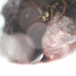 Image_2026-03-03 14_19_16_191.webp