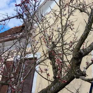 IMG_20260314_143056_HDR~2.webp
