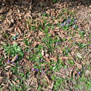 20260322_111448.webp