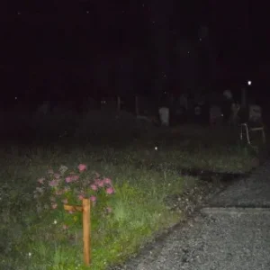 Friedhof 3