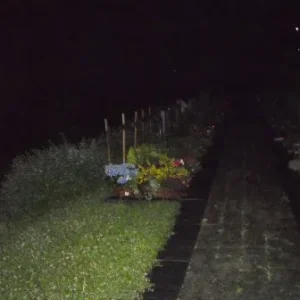 Friedhof 5