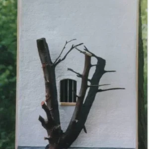 Der Mitgefangene