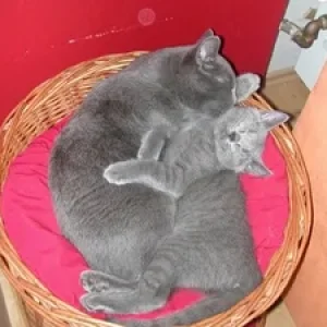 Mona und Saphira