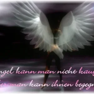 GB_Pic_-_Engel_1
