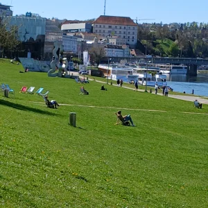 20260408_124657.webp