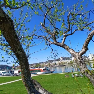 20260408_124118.webp