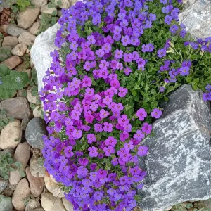 IMG_20260422_105855.webp