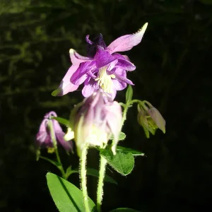 dscn3123.webp