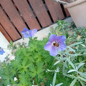 IMG_20260506_133007.webp