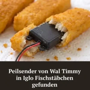 1778268888321.webp