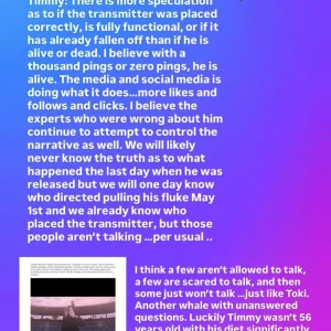JennaWallace_Statement.webp