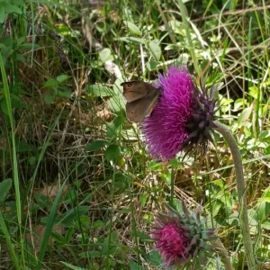 IMG_20260519_143532.webp