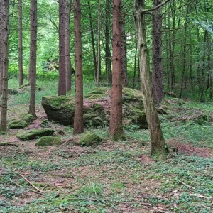 IMG_20260607_102953.webp