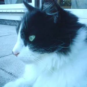 Nochmal Moritz
