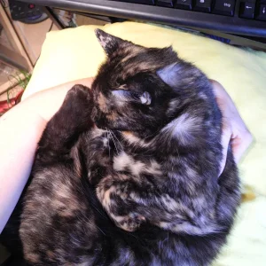 Sheila 2014 013