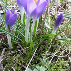 20170312_121241