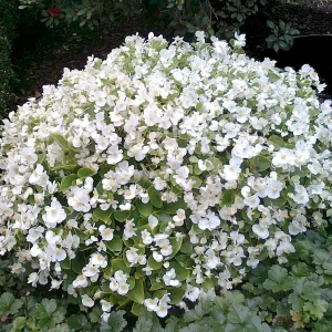 Foto0516