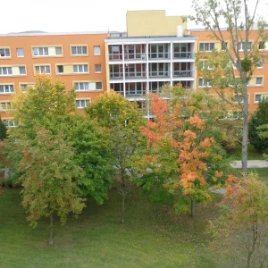Es wird Herbst ...
