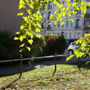 Bundschuhstrasse