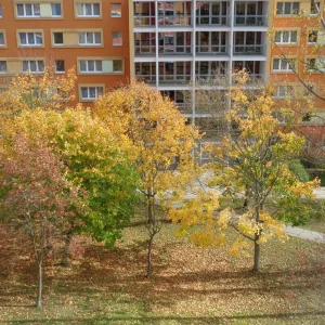 Herbst